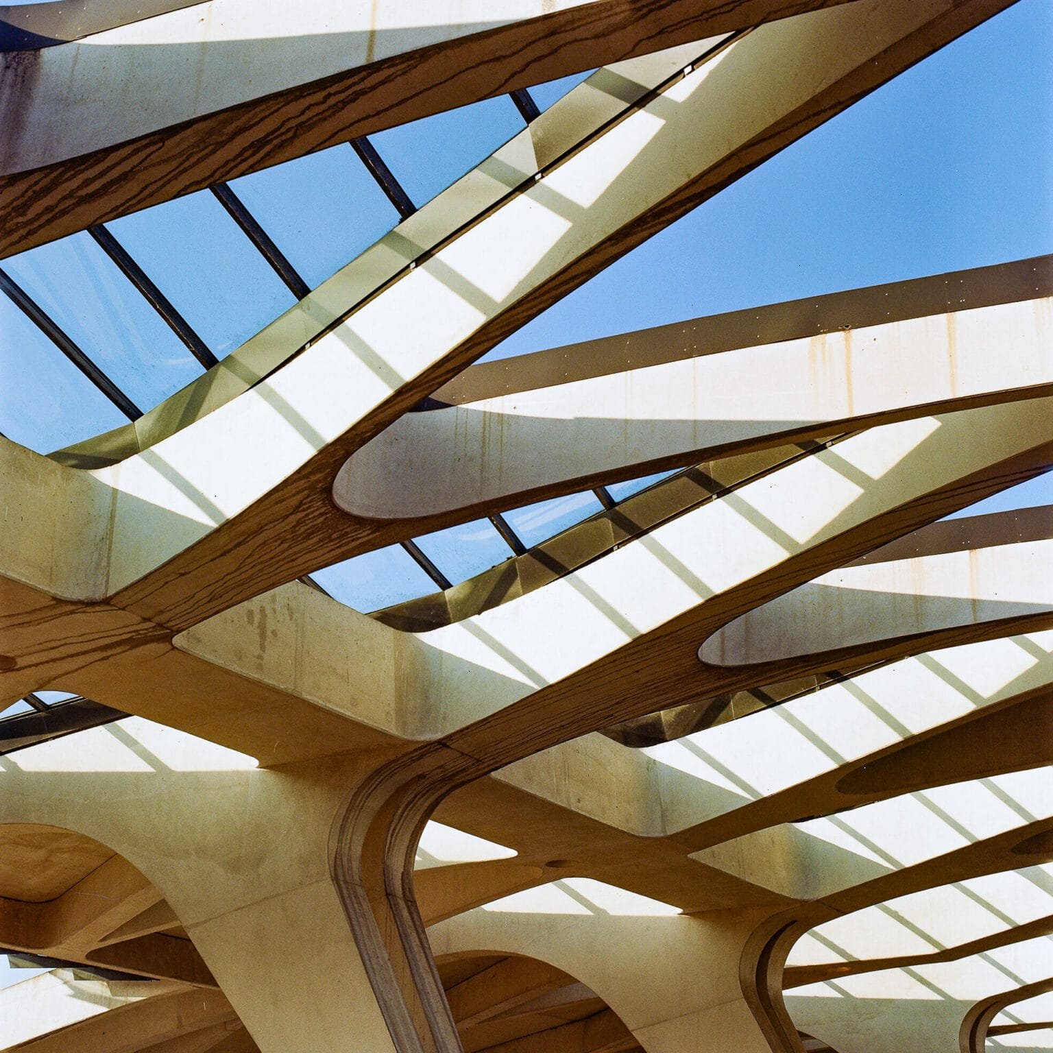 Détail de la structure en béton et verrière de la gare TGV Saint-Exupéry à Lyon, capturé avec un Hasselblad 500 C/M et un Zeiss 80mm sur pellicule Portra 400.
