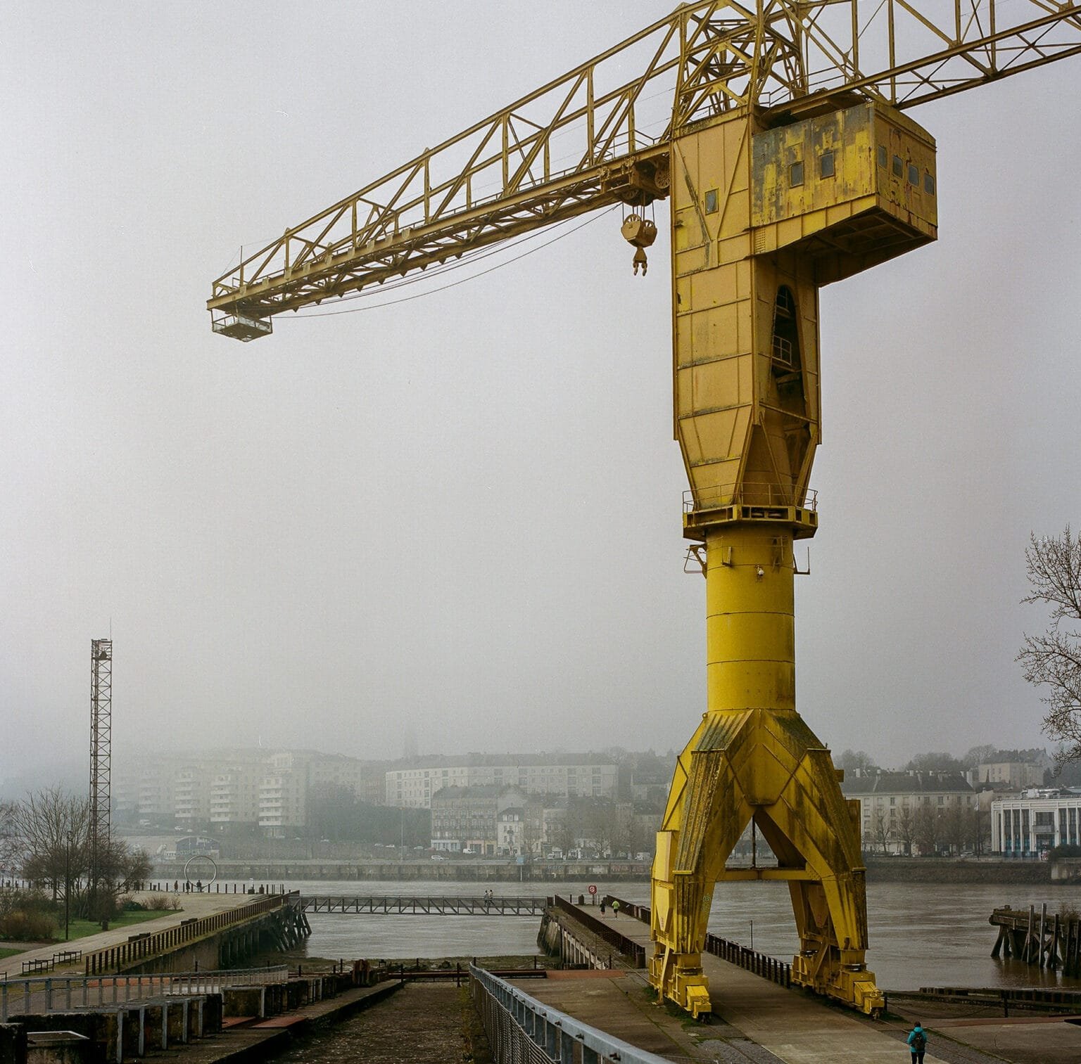 Grue jaune sur l’île de Nantes, photographiée par temps de brume avec un Hasselblad 500 C/M et une pellicule Portra 400.