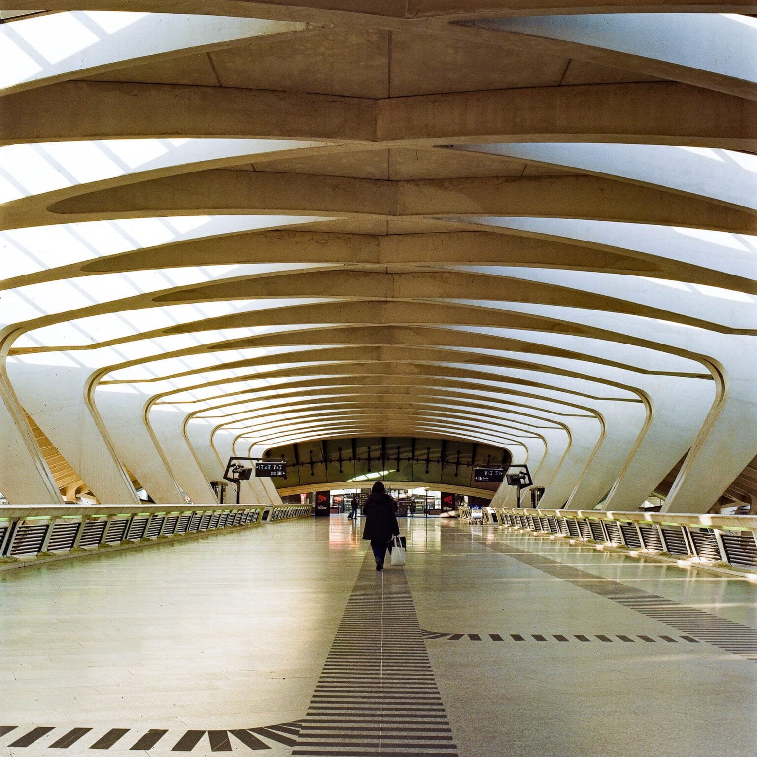 Perspective centrale de la passerelle intérieure de la gare TGV Saint-Exupéry à Lyon, avec sa structure en béton et ses courbes futuristes, capturée au Hasselblad 500 C/M sur pellicule Portra 400.