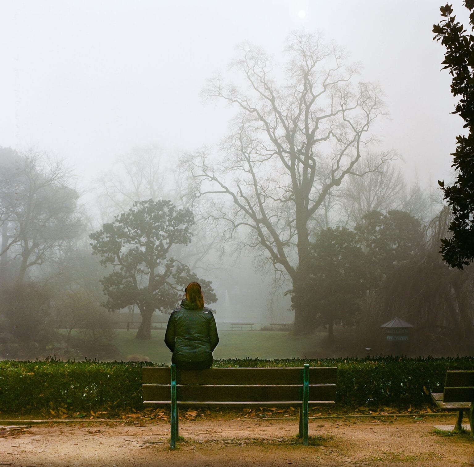 Personne assise sur un banc au Jardin des Plantes à Nantes, par temps de brouillard, photographiée en couleur avec un Hasselblad 500 C/M sur pellicule Portra 400.