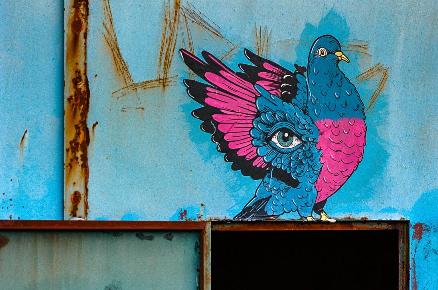 Street art représentant un pigeon coloré avec un œil sur l’aile, sur une tôle bleue rouillée.