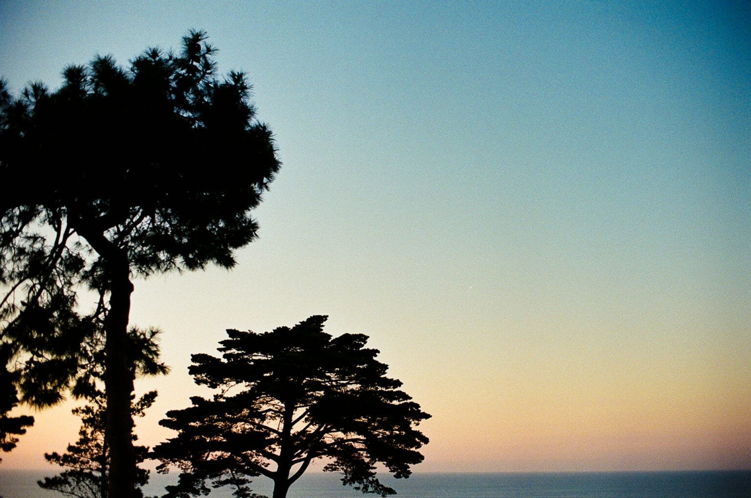 Silhouettes de pins face à l’océan à l’aube, depuis une chambre de l’hôtel Royal à La Baule.
