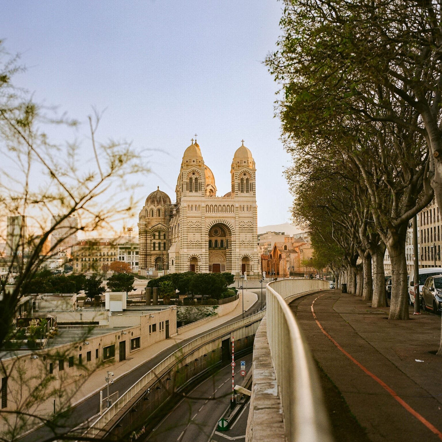 Vue de la cathédrale de la Major à Marseille au petit matin, avec une rangée d’arbres bordant la voie urbaine.
