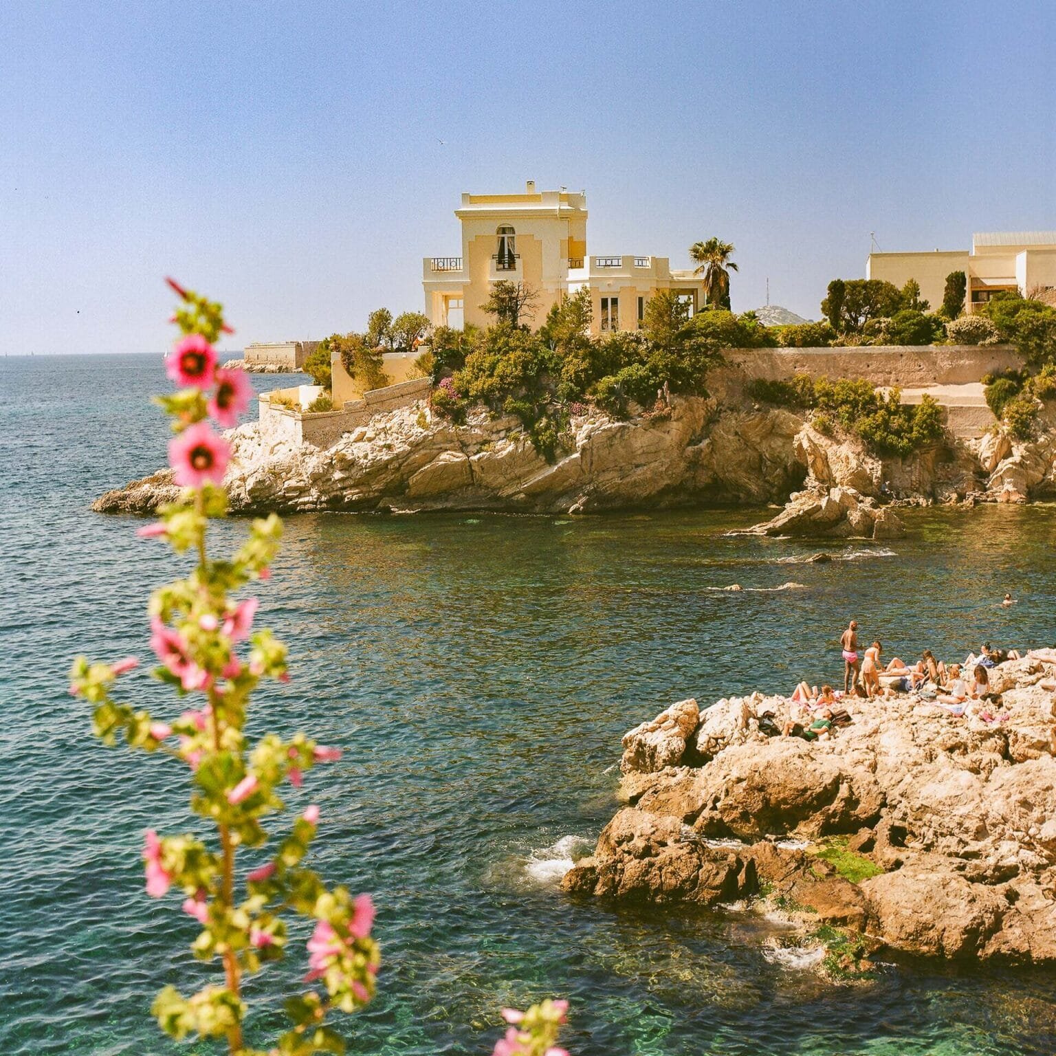 Villa en bord de mer sur la corniche Kennedy à Marseille, avec des baigneurs sur les rochers et des roses trémières au premier plan.