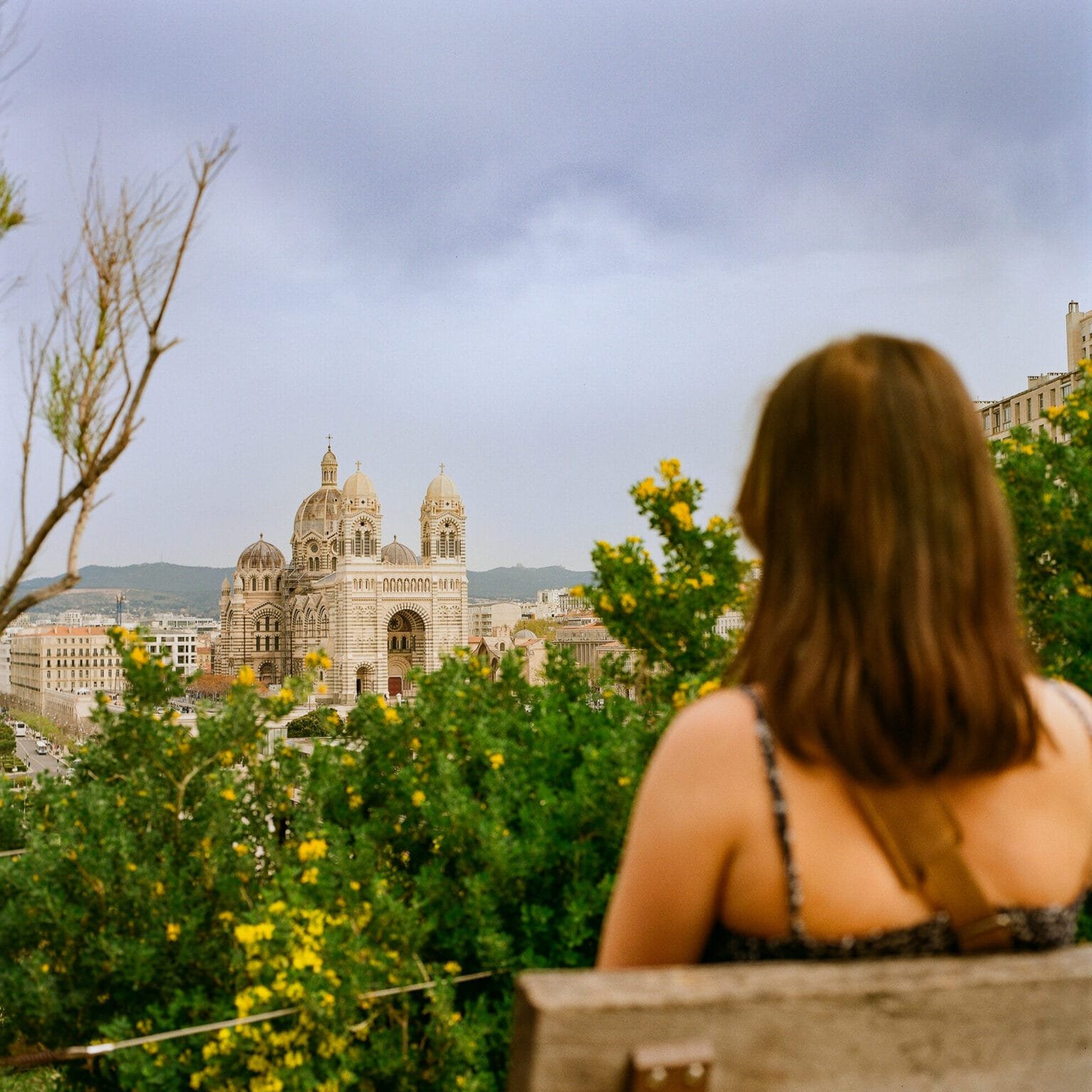 Une femme assise sur un banc admire la cathédrale de la Major à Marseille, vue à travers un buisson en fleurs, prise avec un Hasselblad 500 C/M.