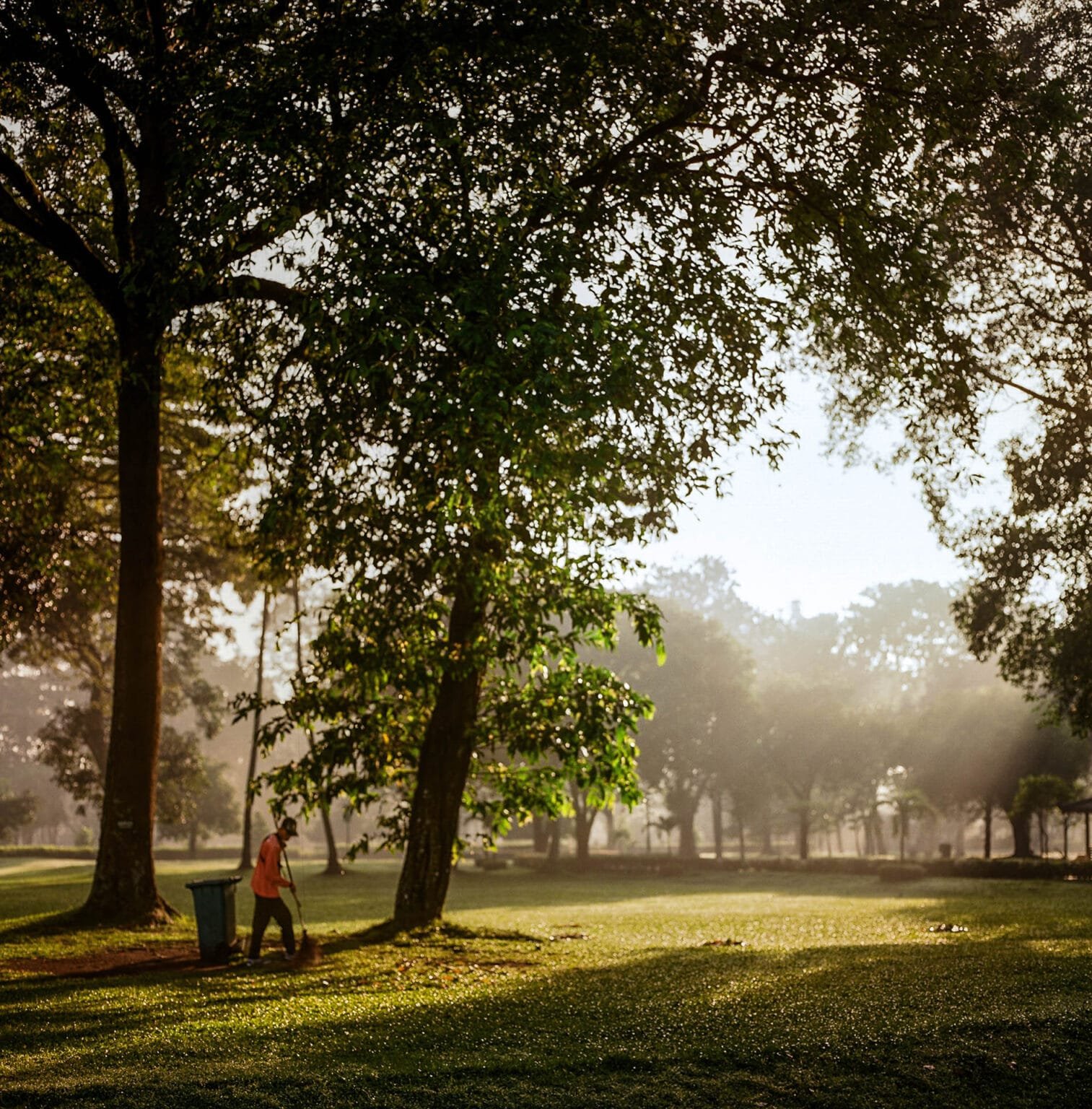 Balayeur dans le parc du temple de Prambanan près de Yogyakarta, au lever du soleil.