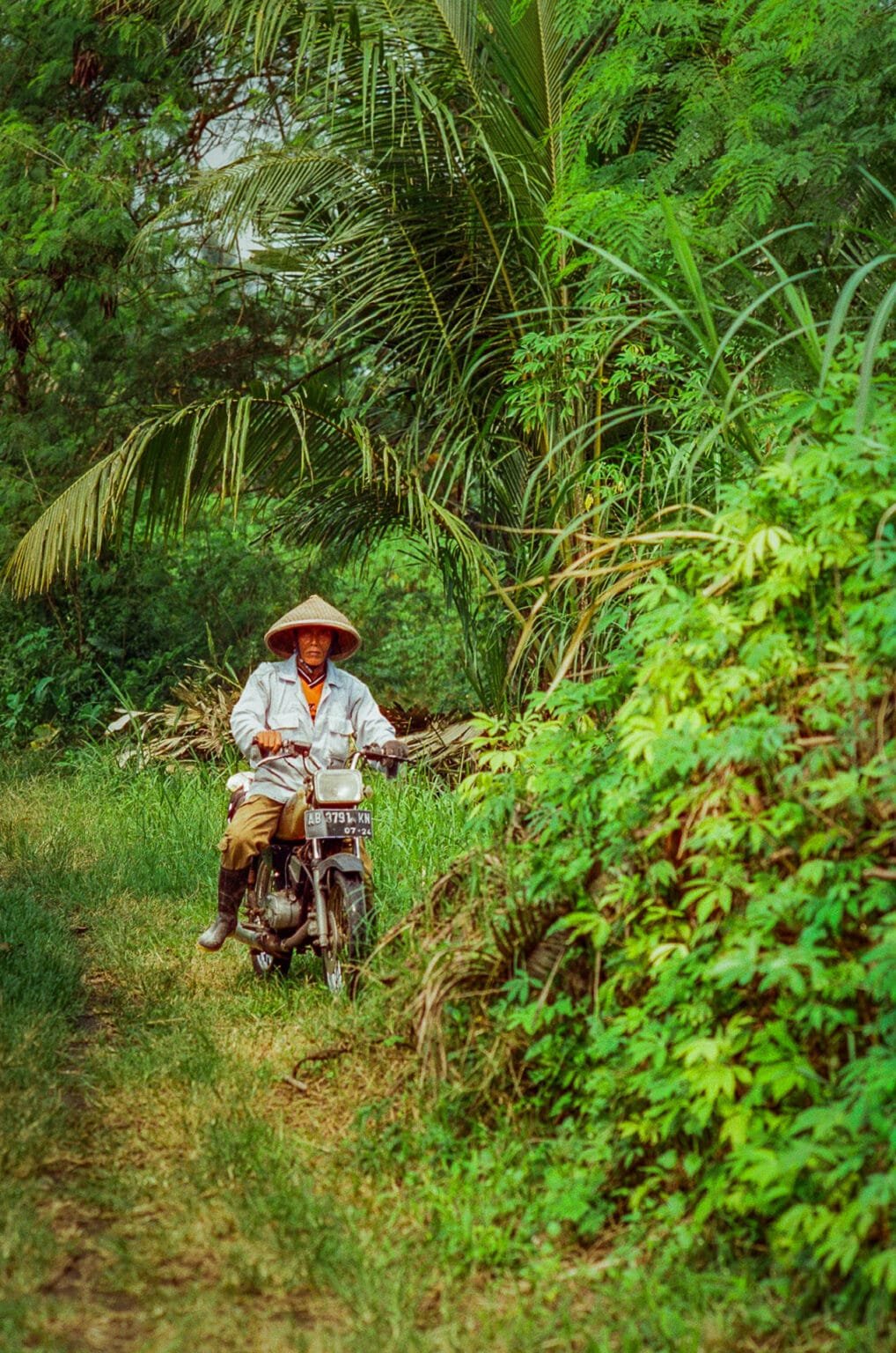 Homme en scooter portant un chapeau conique sur un chemin rural près de Yogyakarta.