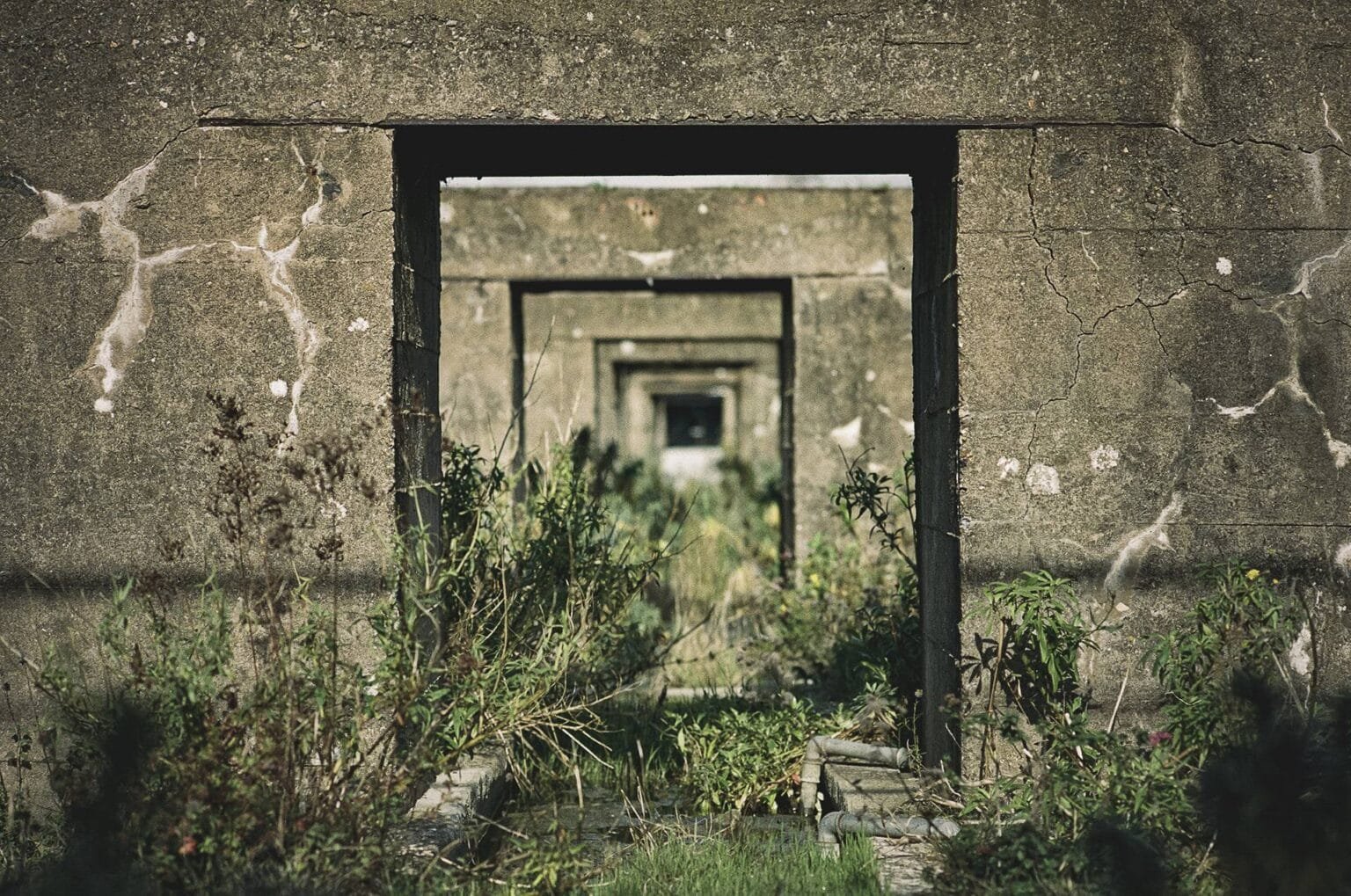 Enchaînement de cadres en béton dans une ruine industrielle envahie par la végétation à Saint-Nazaire