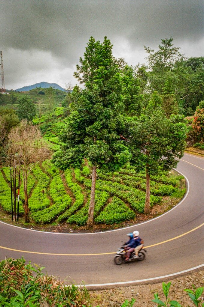 Deux personnes à moto sur une route sinueuse bordant des plantations de thé à Ciwidey, photographiées sur pellicule couleur.