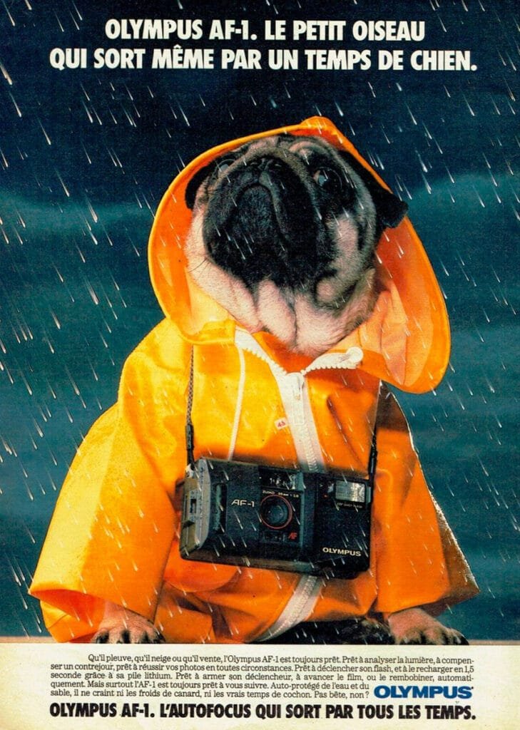 Publicité humoristique de l’Olympus AF-1 montrant un carlin en ciré jaune sous la pluie.