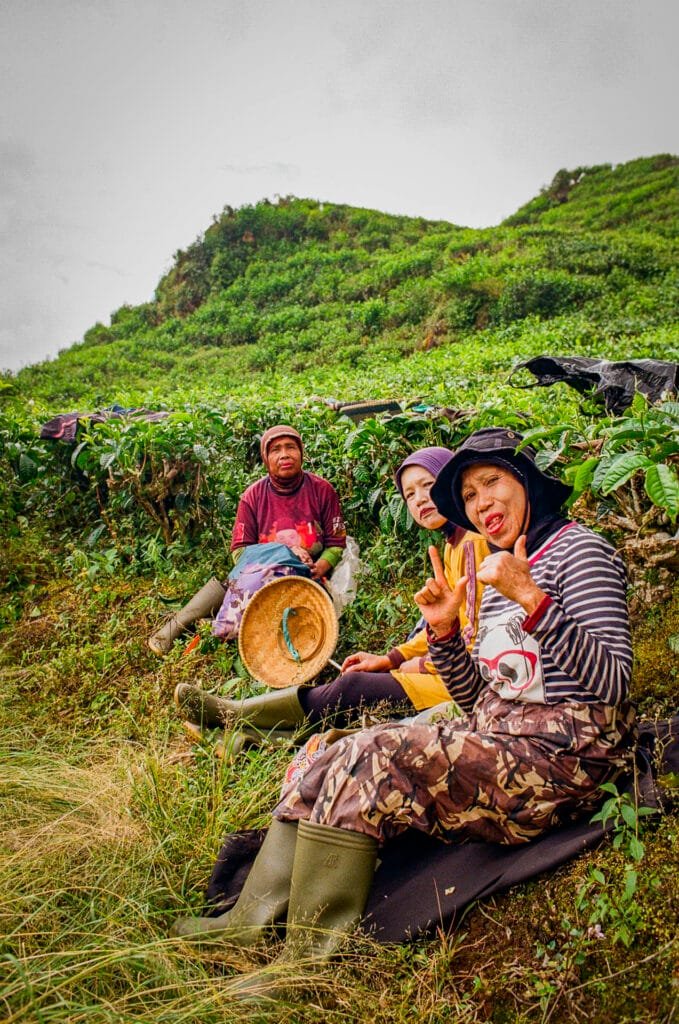 Cueilleuses de thé assises dans les plantations de Ciwidey, souriantes et détendues lors d’une pause.