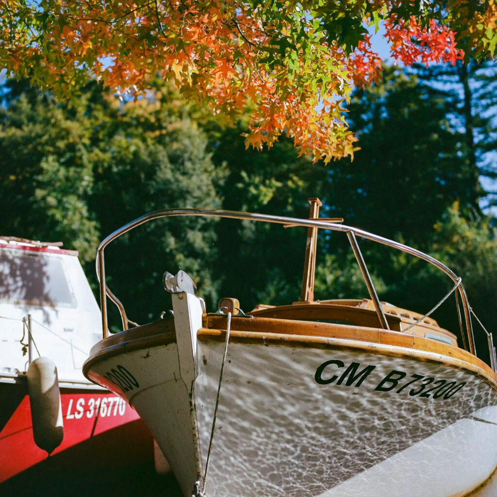 Bateau amarré sous les feuillages d’automne aux couleurs chaudes sur les bords de l’Erdre à Nantes