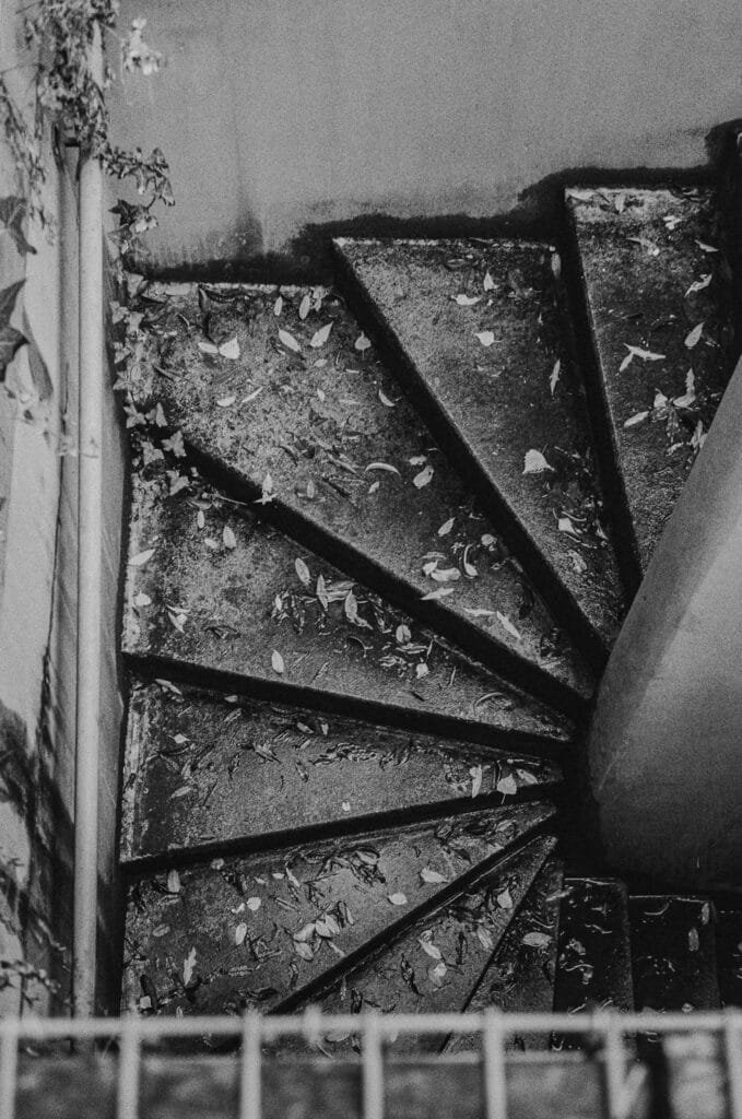 Escalier en colimaçon vu de dessus, recouvert de feuilles mortes, photographié en noir et blanc dans le quartier des Olivettes à Nantes.
