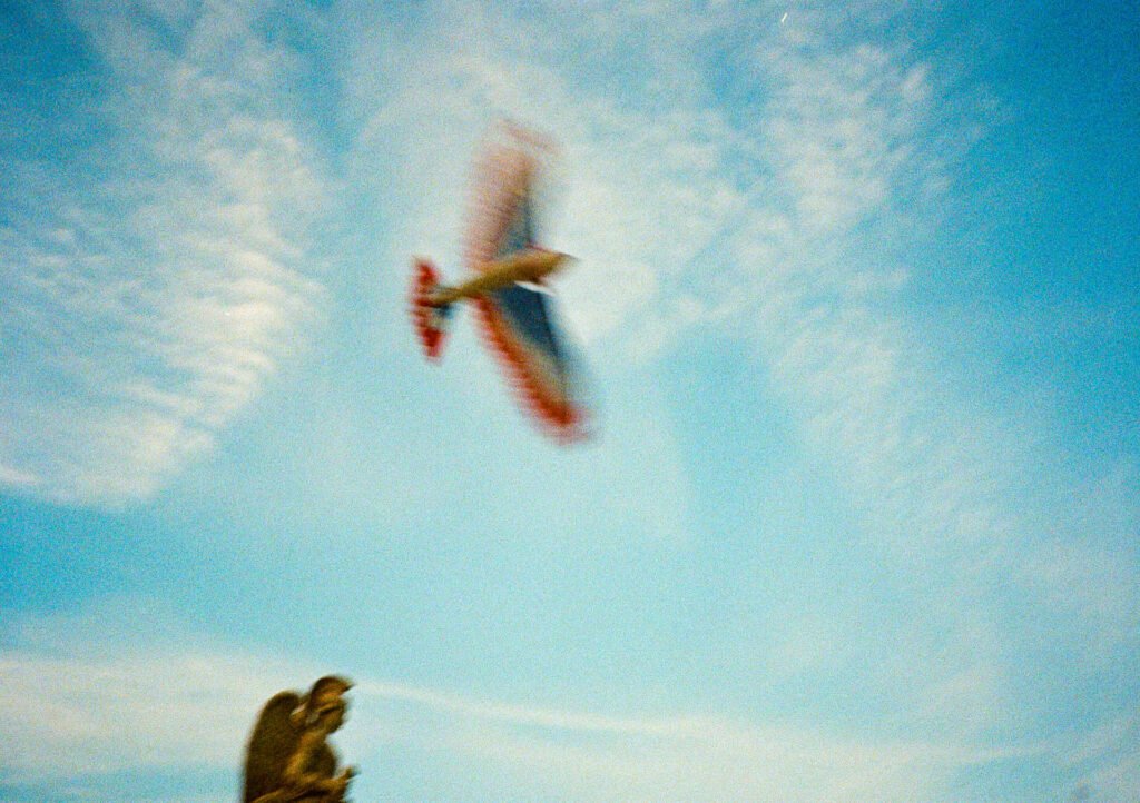 Oiseau jouet flou en plein vol dans un ciel bleu au-dessus d’une gargouille, photographié en demi-format avec un Canon Dial 35-2.