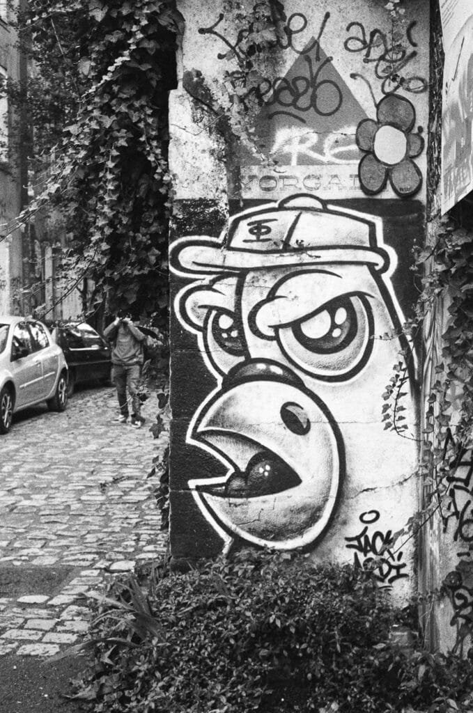 Fresque murale représentant un oiseau stylisé casquette vissée sur la tête, à l’entrée du passage Drouard à Nantes, avec un photographe en arrière-plan.
