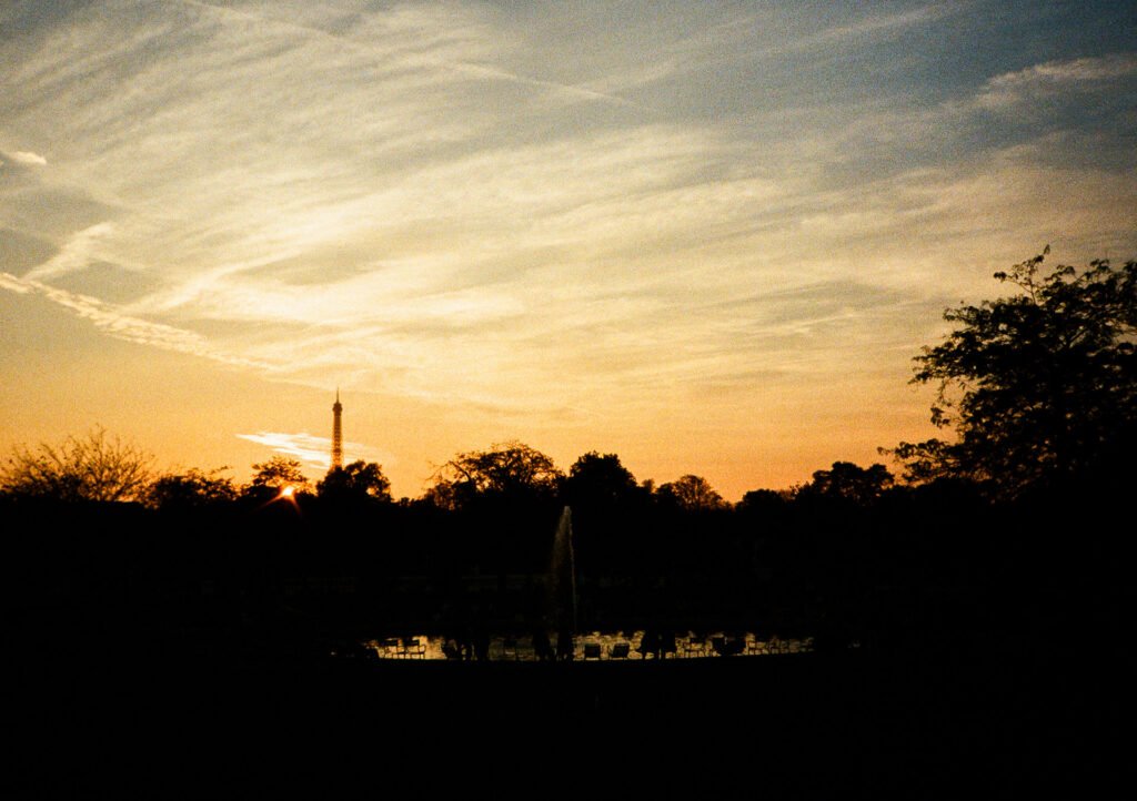 Coucher de soleil derrière les arbres du Jardin des Tuileries, avec la tour Eiffel en arrière-plan et un bassin en silhouette au premier plan.