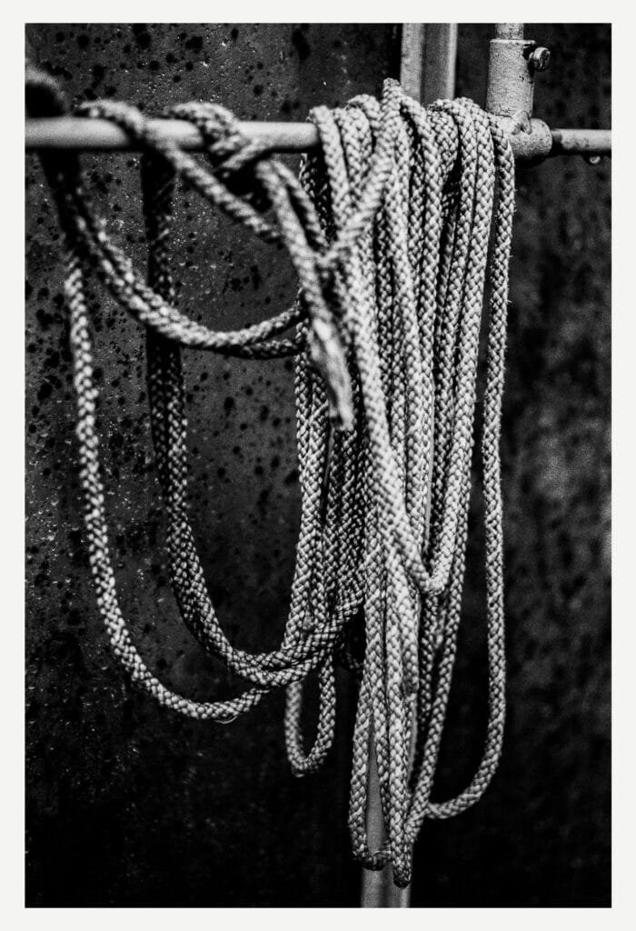 Cordes suspendues servant aux stores des serres du Jardin des Plantes de Nantes, en noir et blanc.