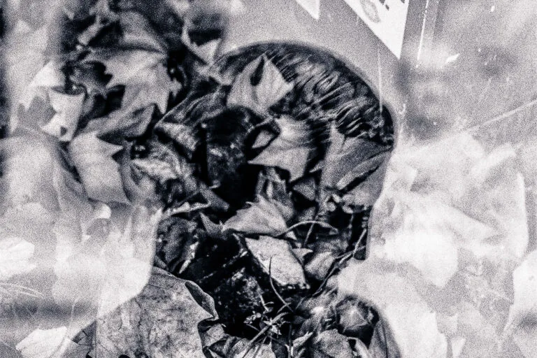 Buste recouvert de feuilles dans une double exposition en noir et blanc.