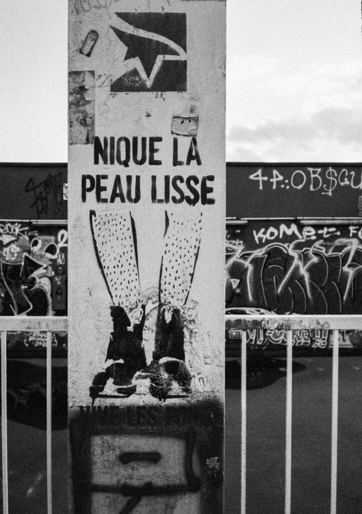 Graffiti sur un pilier de béton avec l’inscription “Nique la peau lisse”, photographié sur le toit du parking près des Machines de l’île à Nantes.