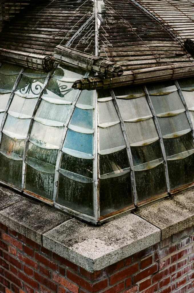 Toit vitré d’une serre ancienne au Jardin des Plantes de Nantes, en automne.