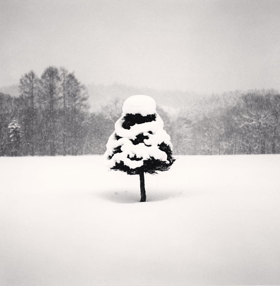 Arbre enneigé isolé à Wakoto, Hokkaido, photographié en noir et blanc par Michael Kenna en 2004.