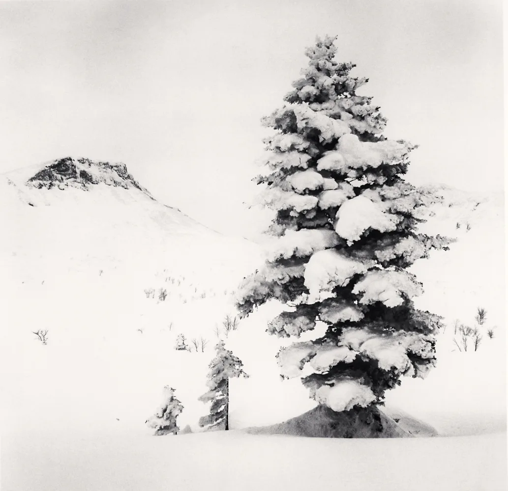 Grand sapin enneigé devant une falaise en arrière-plan, photographié en noir et blanc par Michael Kenna à Hokkaido en 2007.