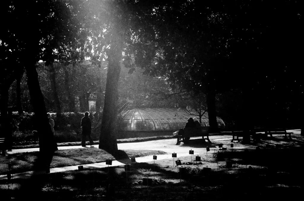 Silhouettes d’habitants marchant ou assis sur des bancs au Jardin des Plantes à Nantes, lumière rasante d’hiver.