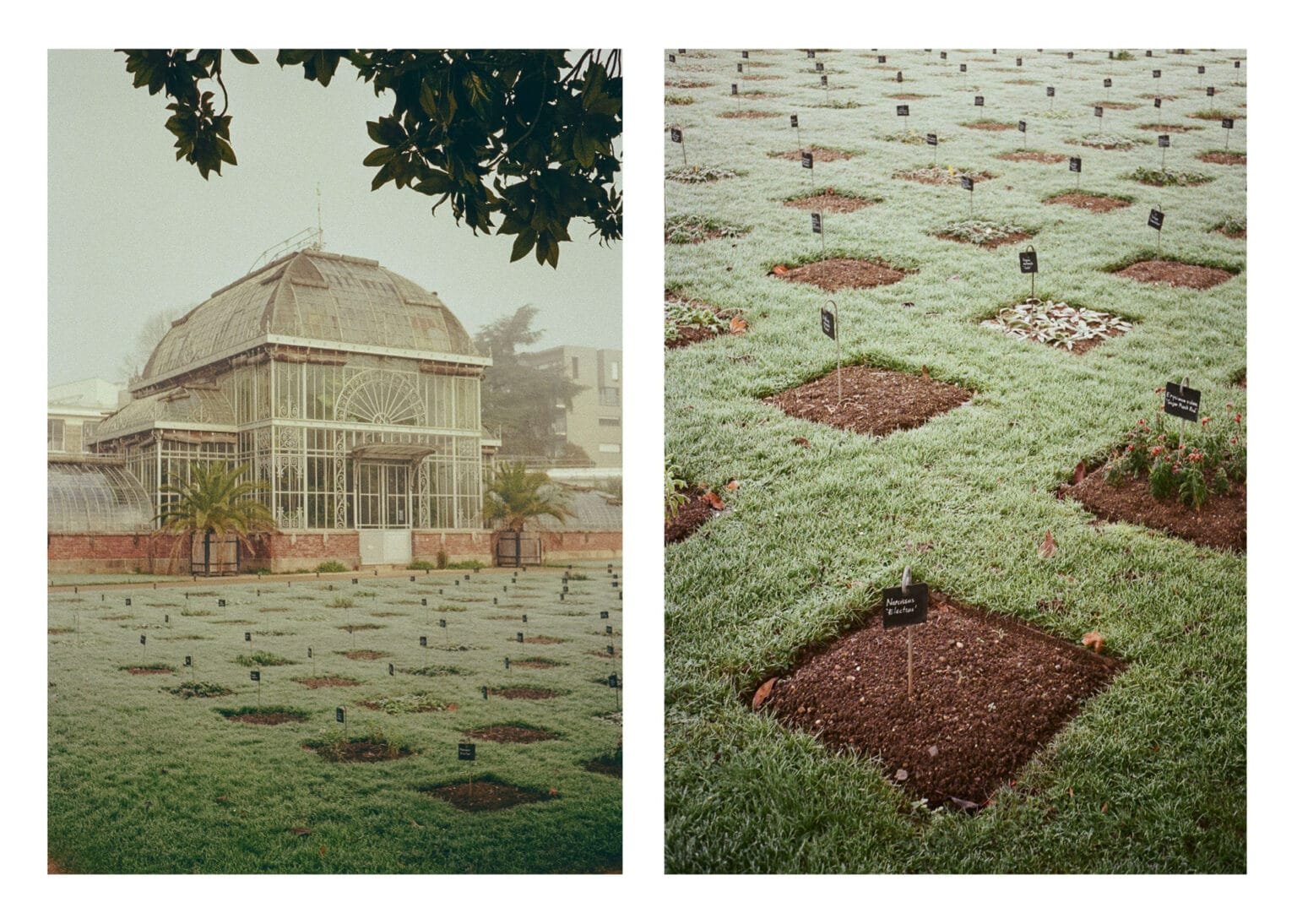 Diptyque montrant la grande serre du Jardin des Plantes de Nantes et les parcelles du jardin botanique par matin givré.