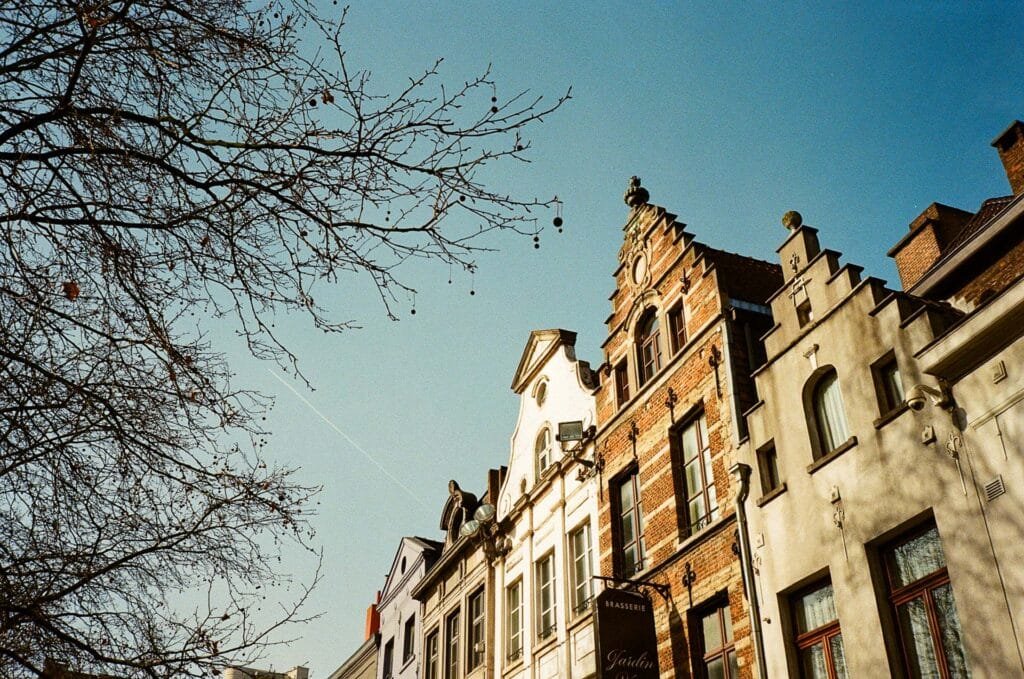 Façades anciennes à Bruxelles sous un ciel bleu d’hiver, branches d’arbre au premier plan.