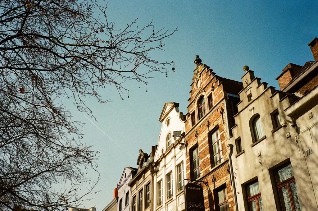 Façades anciennes à Bruxelles sous un ciel bleu d’hiver, branches d’arbre au premier plan.