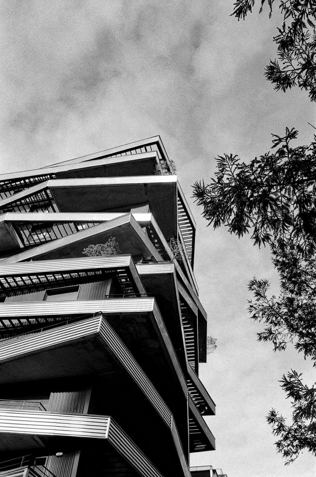 Immeuble contemporain photographié en contre-plongée à Nantes, avec balcons géométriques et feuillage en bord de cadre.