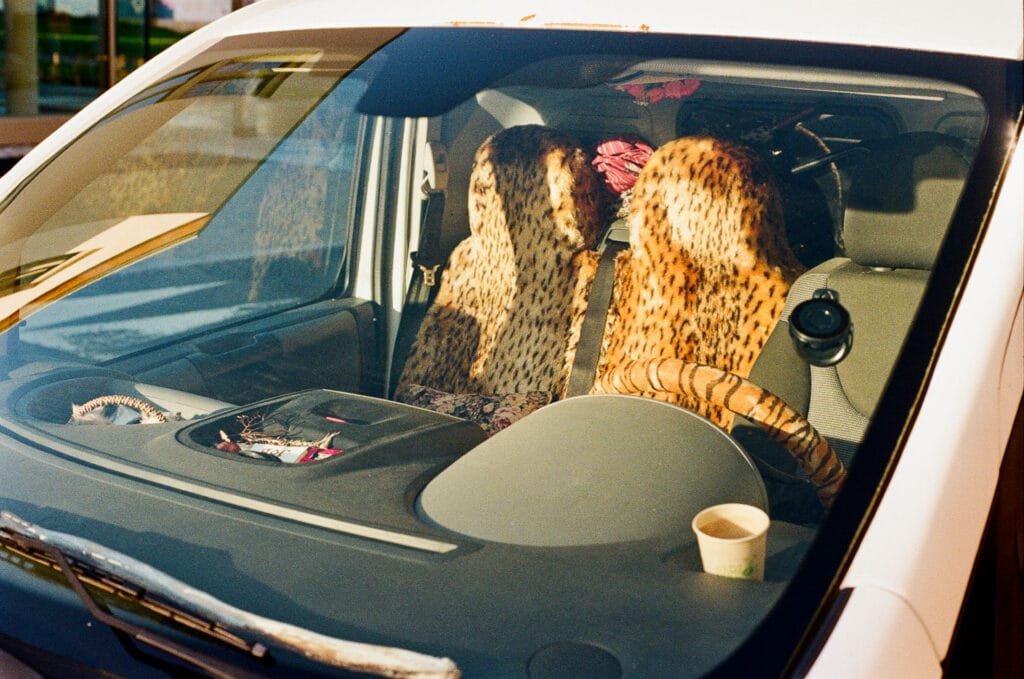 Intérieur de voiture avec housses de sièges léopard vu à travers le pare-brise à Nantes.