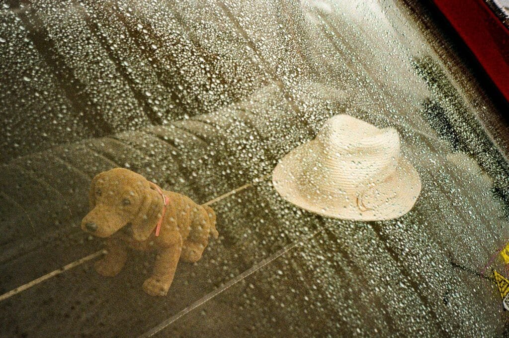 Chien et chapeau clair vus à travers une vitre couverte de gouttes d’eau dans un parking à Nantes.