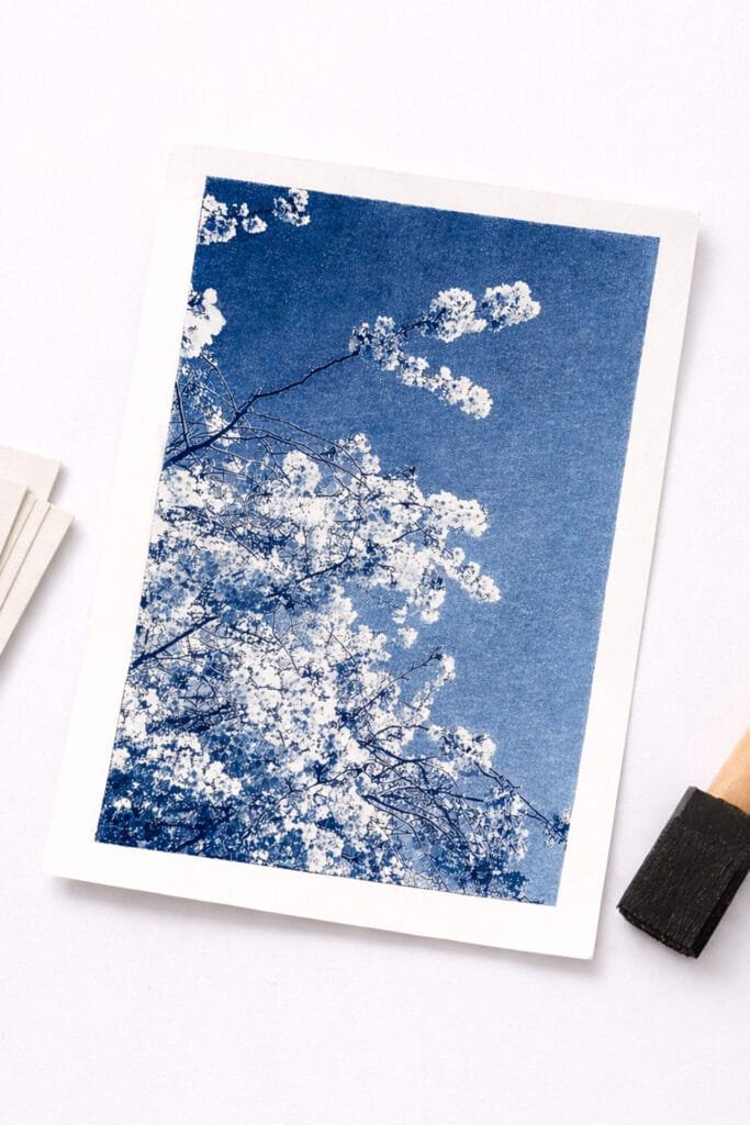 Cyanotype fleurs de cerisier photographiées à Nantes, tirage sur papier aquarelle Clairefontaine Aquapad A5