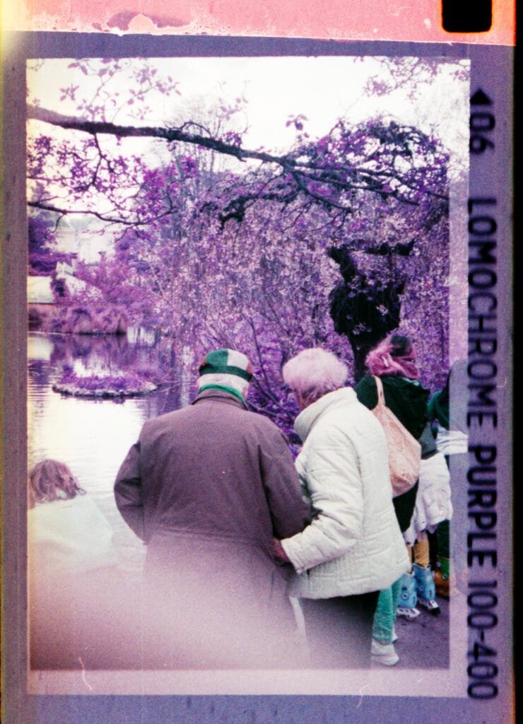Promeneurs au bord de l'étang du Jardin des Plantes de Nantes sous les arbres en fleurs, photographiés au Rollei A110 sur pellicule LomoChrome Purple 100-400