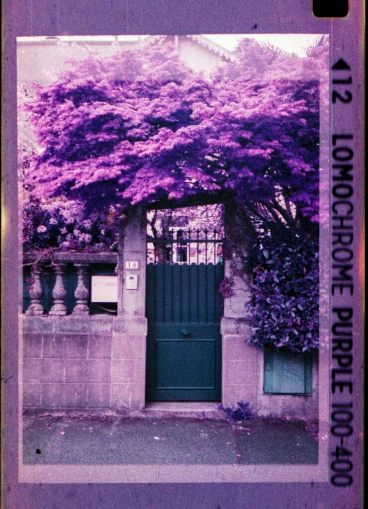 Portail de maison nantaise avec végétation envahissante photographié au Rollei A110 sur pellicule LomoChrome Purple 100-400