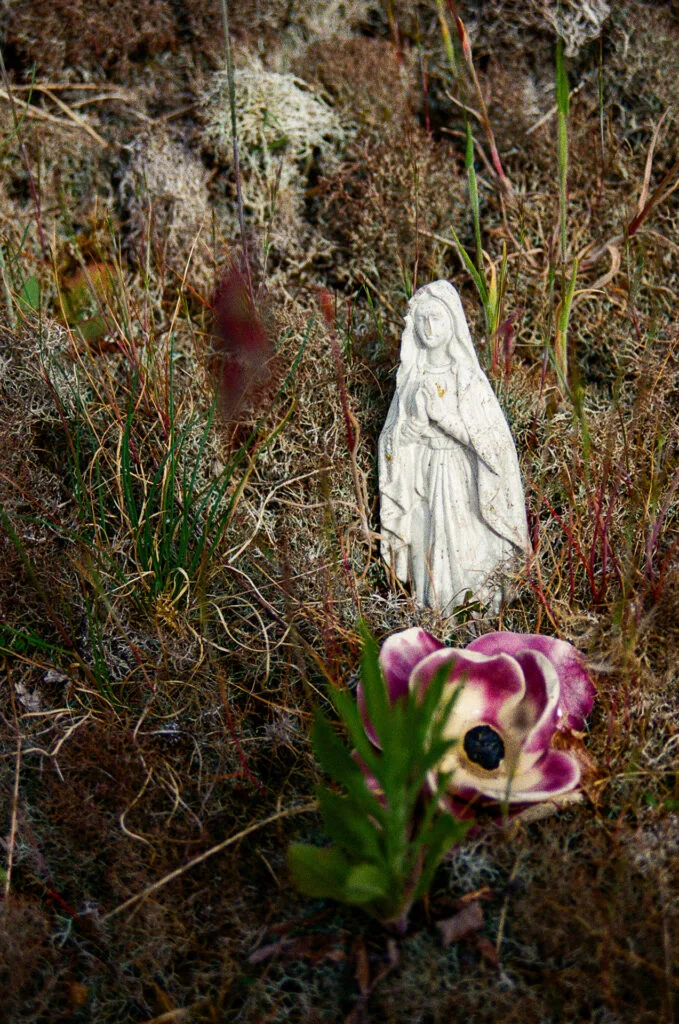 Statuette de la Vierge blanche dans la végétation sèche du cimetière de la Bouteillerie à Nantes, fleur fanée au premier plan, Canon EOS 700