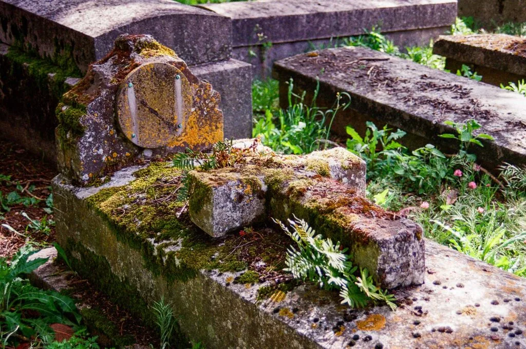 Tombe ancienne couverte de mousse et lichens jaunes au cimetière de la Bouteillerie à Nantes, Canon EOS 700