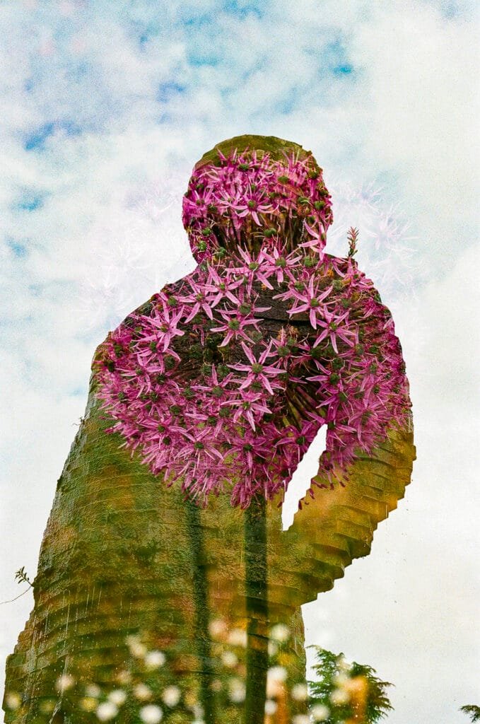Double exposition argentique — statue L'Homme de bois de Fabrice Hyber envahie d'alliums roses, Nikon F3 HP, Ultramax 400, Jardin des Plantes Nantes