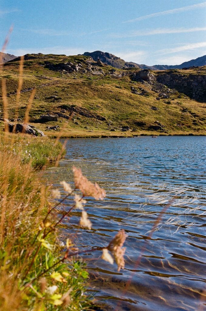 Lac Long, Haute Clarée — rive et herbes au premier plan — Nikon F6, Kodak Pro Image 100