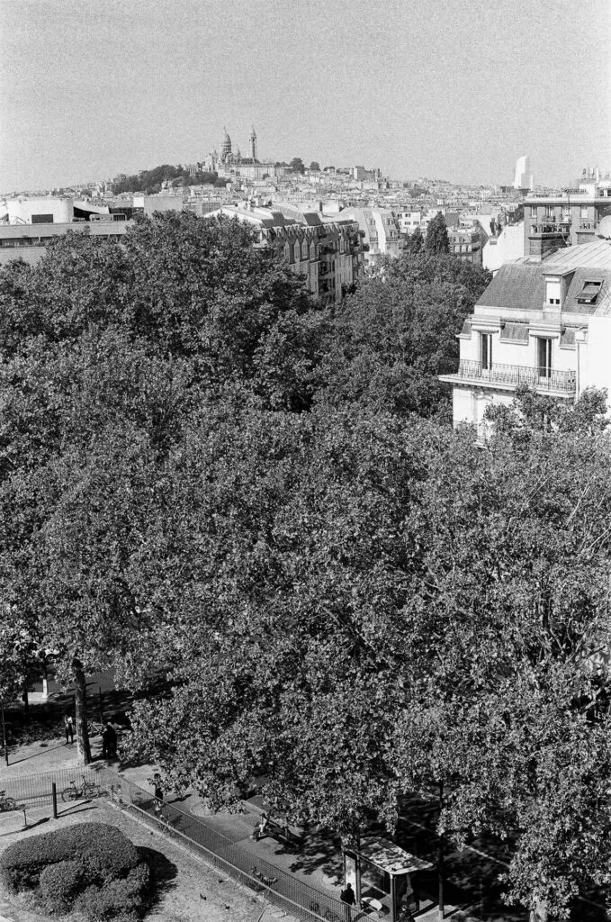 Vue depuis le toit-terrasse de l'Espace Niemeyer, arbres en contrebas et Sacré-Cœur à l'horizon