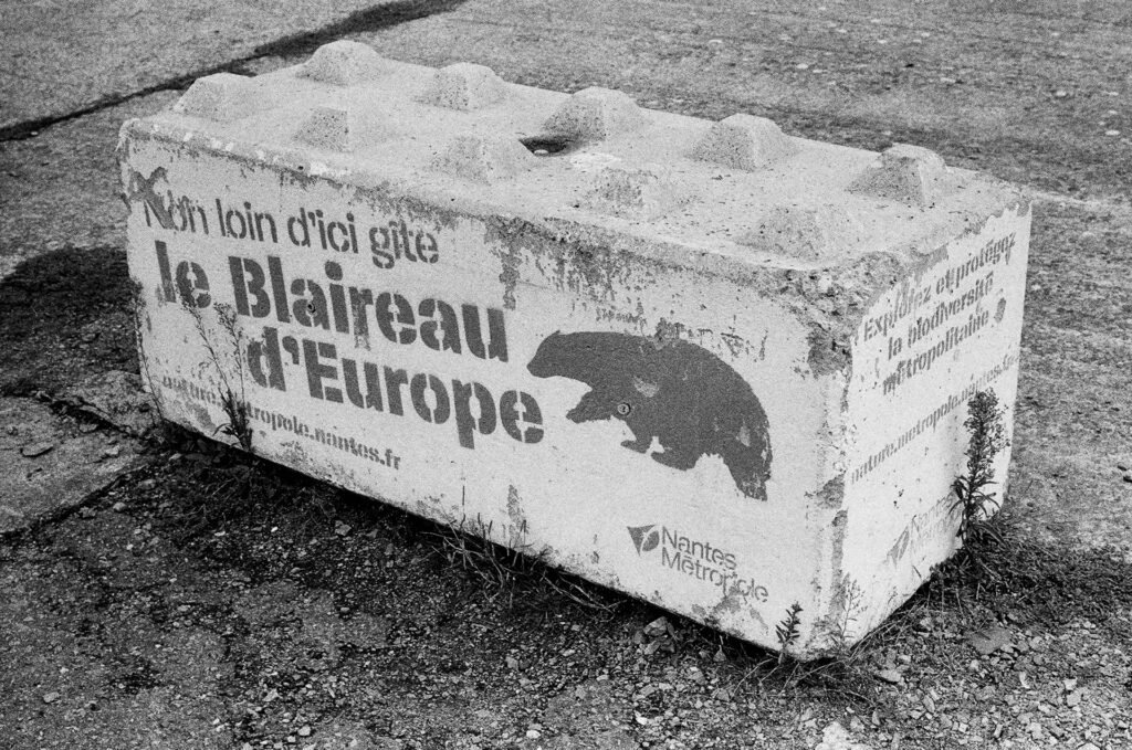 Bloc de béton peint au pochoir « Non loin d’ici gîte le Blaireau d’Europe » par Nantes Métropole, photo argentique noir et blanc